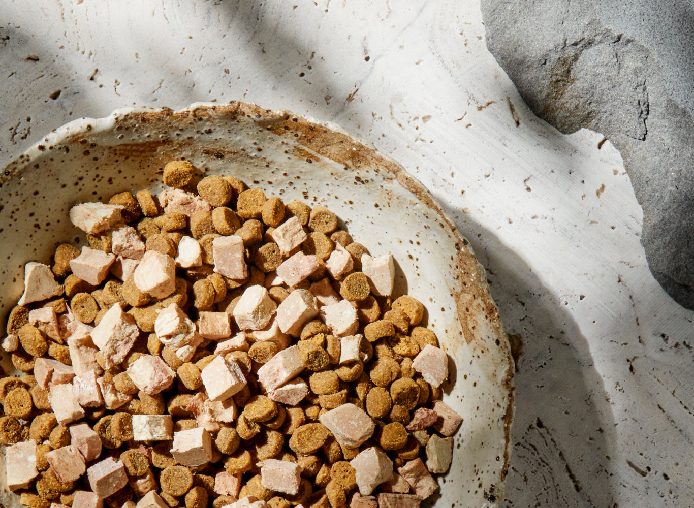 Dry Kitten Food
