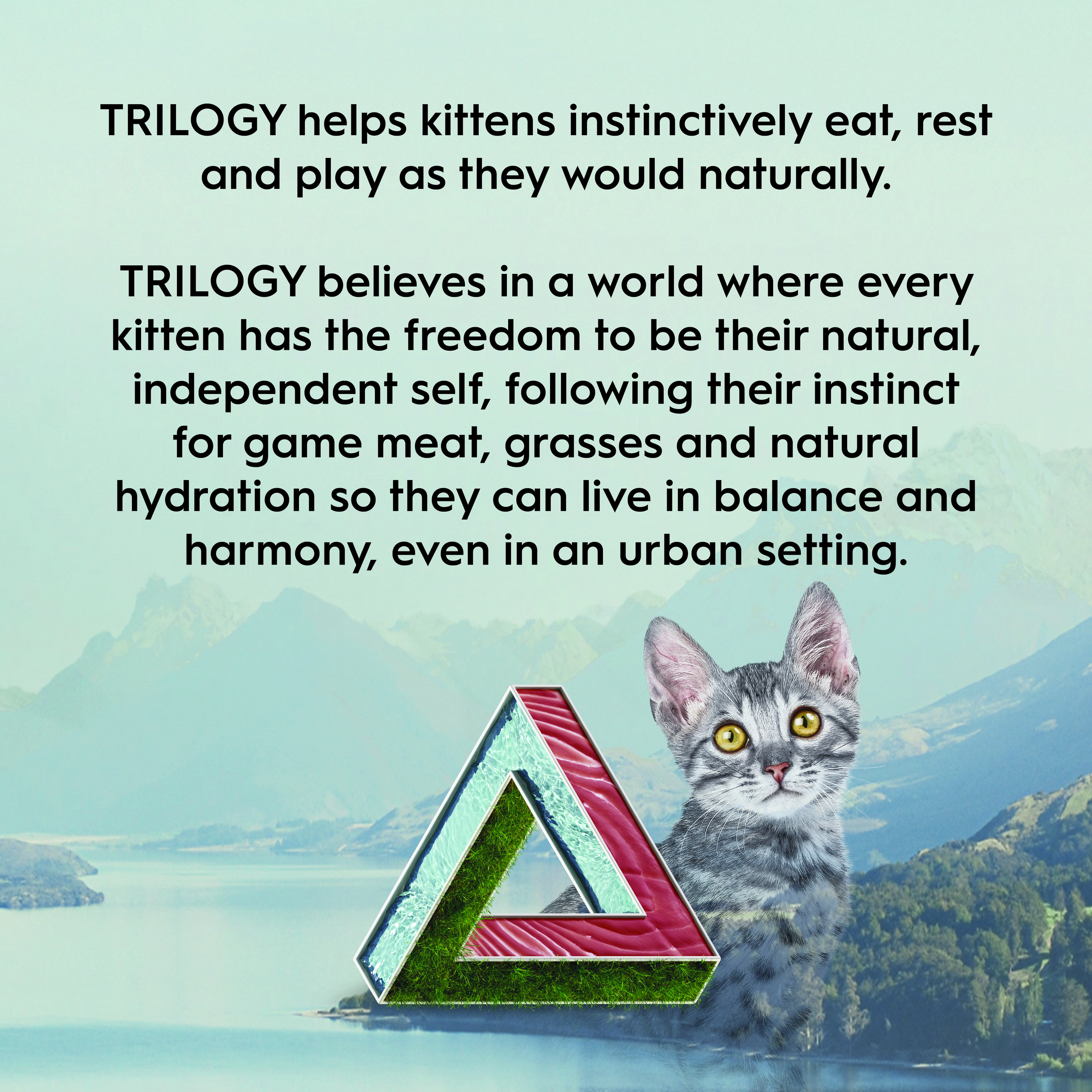 Trilogy Kitten Wet Tuna in Bone Broth 85g