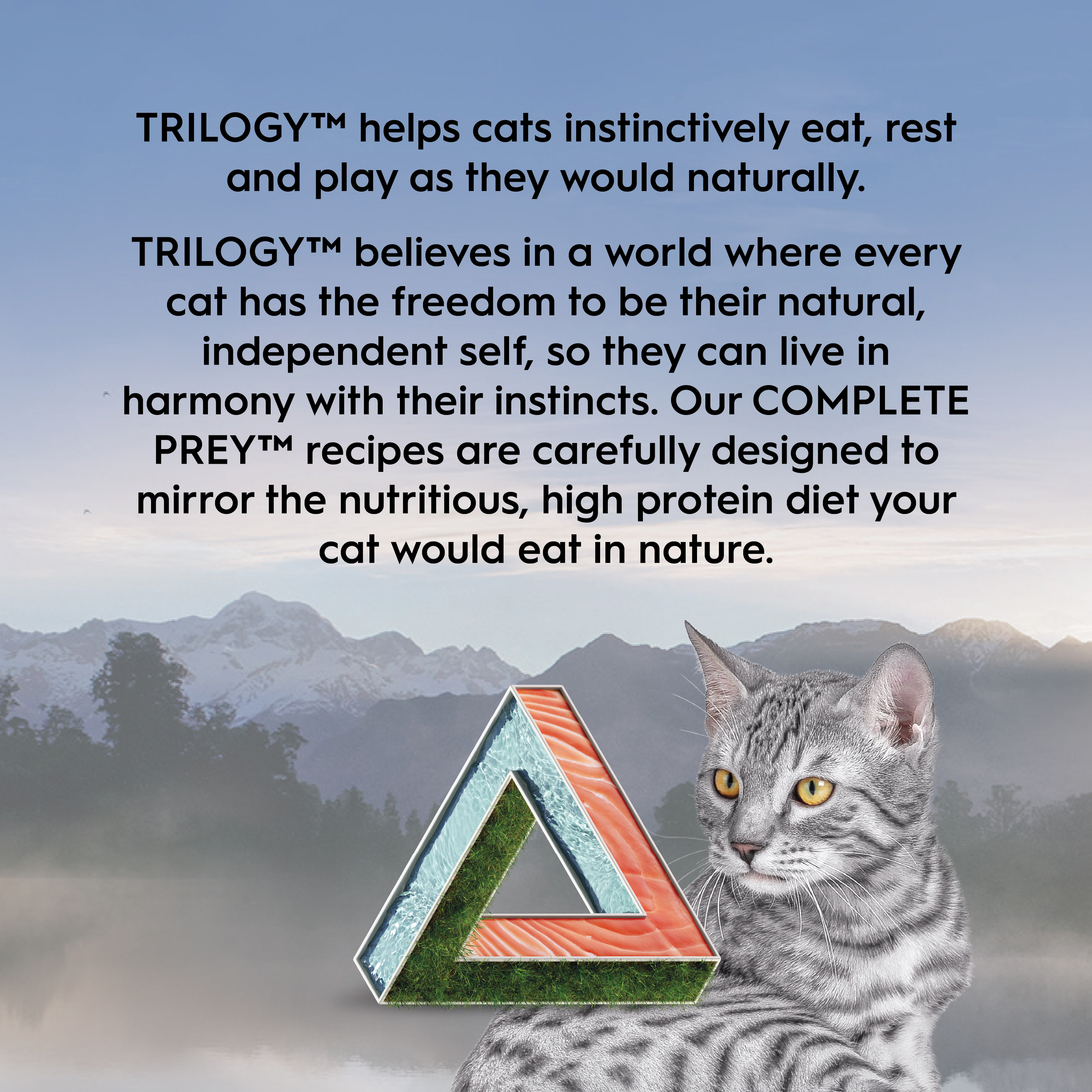 Trilogy Cat Wet Complete Prey Pate Salmon 85g