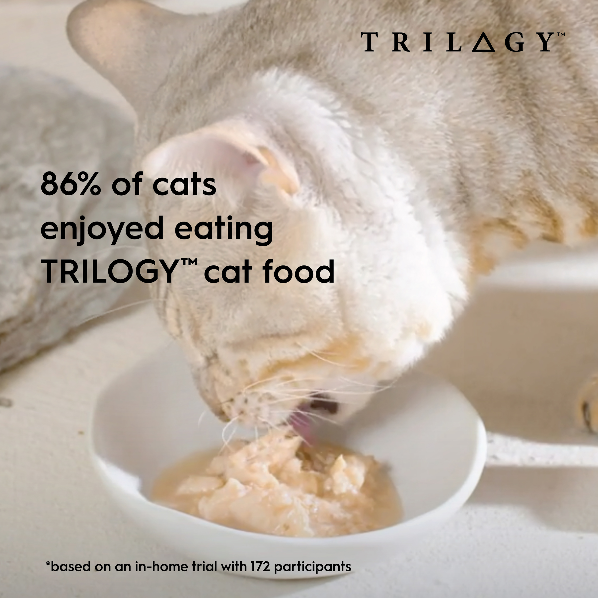 Trilogy Cat Wet Complete Prey Pate Salmon 85g