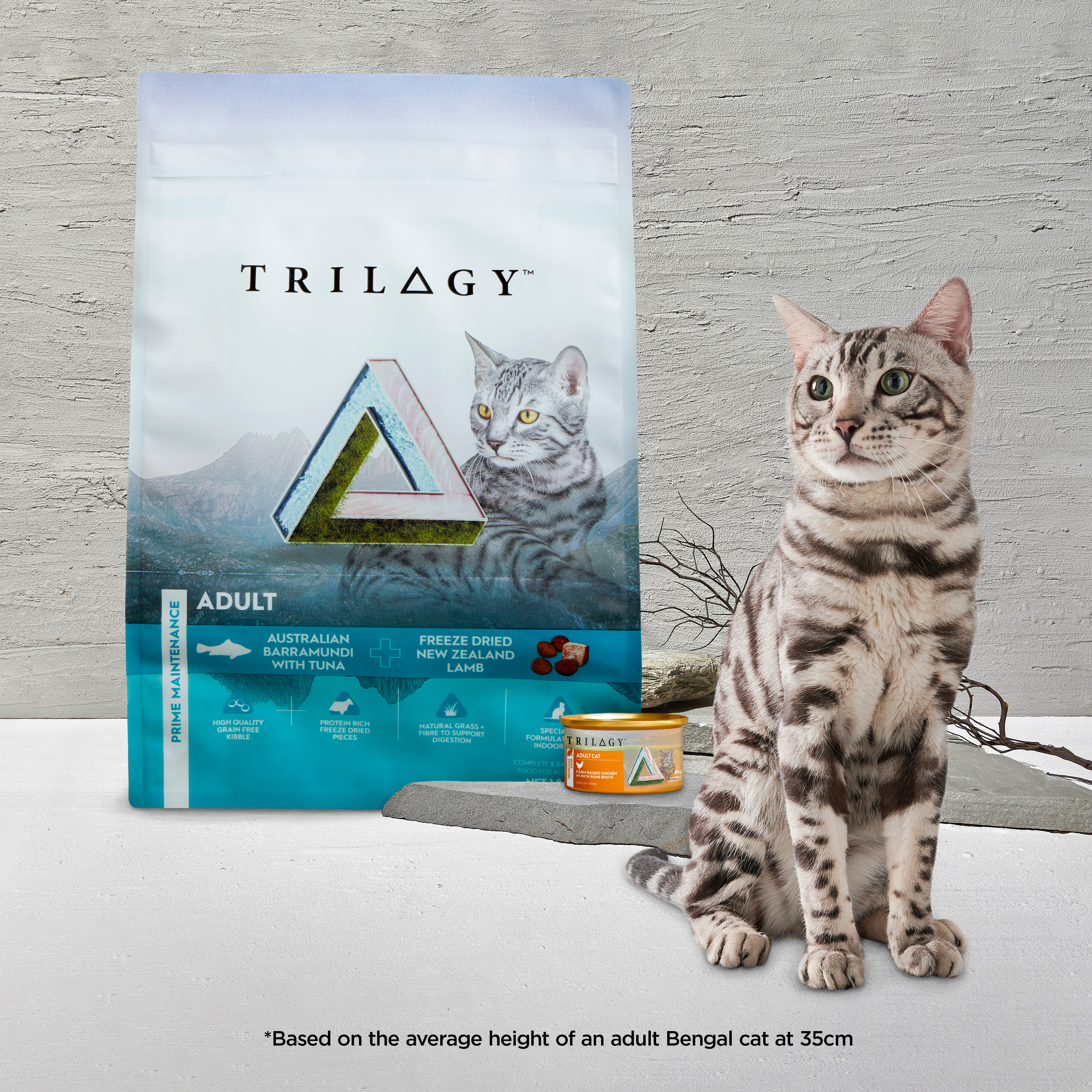 Trilogy Cat Wet Complete Prey Pate Salmon 85g