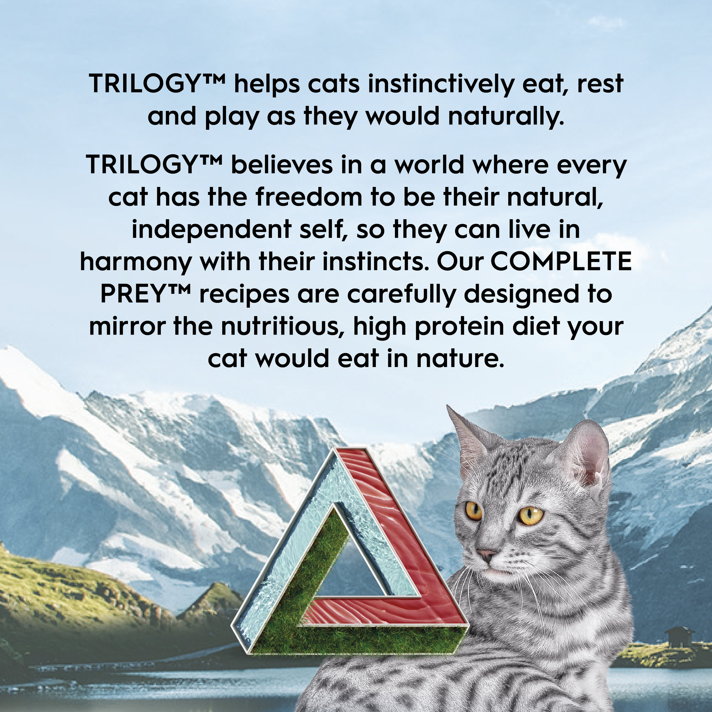 Trilogy Cat Wet Complete Prey Pate Tuna 85g