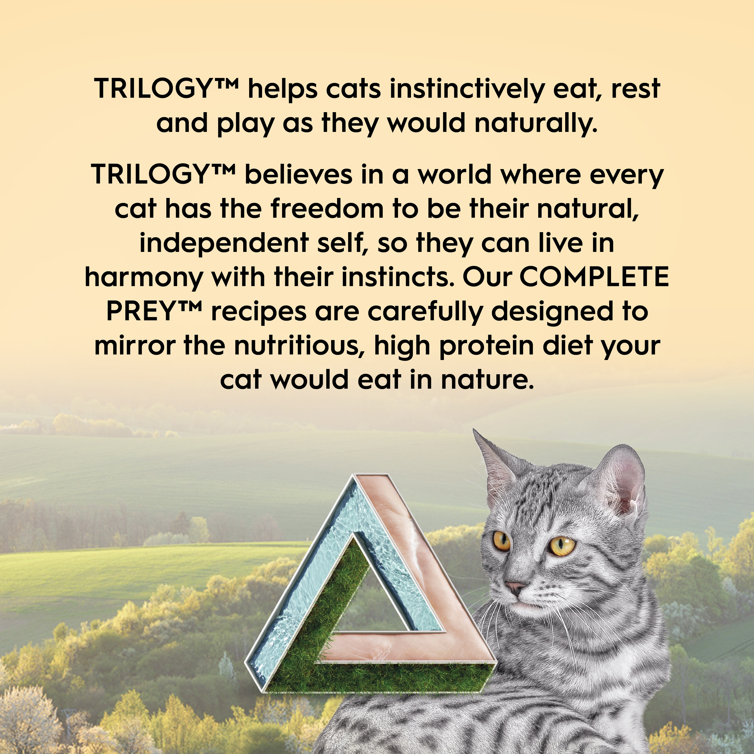 Trilogy Cat Wet Complete Prey Pate Chicken 85g